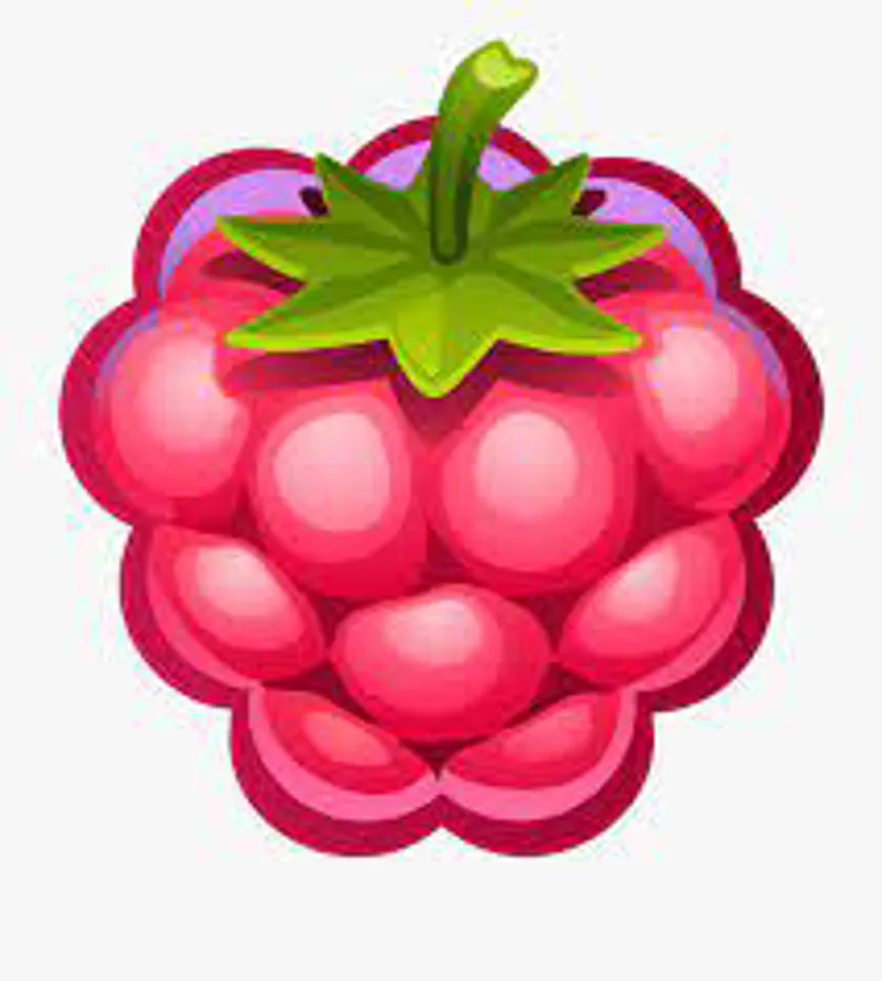 Pearl Izumi Barrier Convertible Womens Jacket in Pink-4